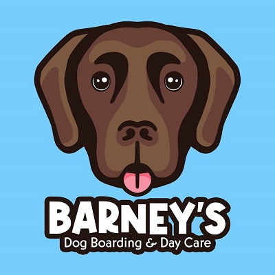 Barney Dog