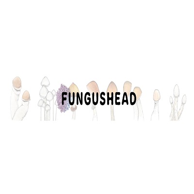 Fungushead