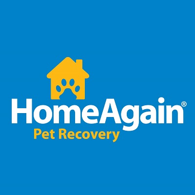 Home Again